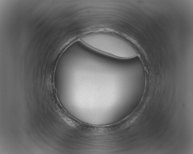X0000081420881200701120942