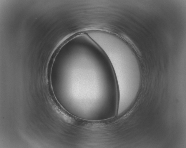 X0000081420884200701120941