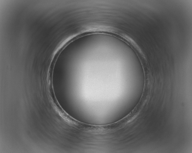 X0000081420885200701120941