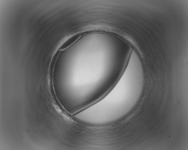 X0000081420888200701120941