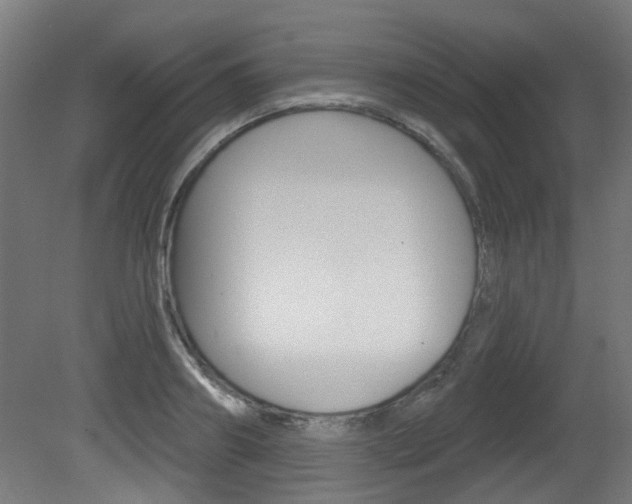 X0000081420890200701120941