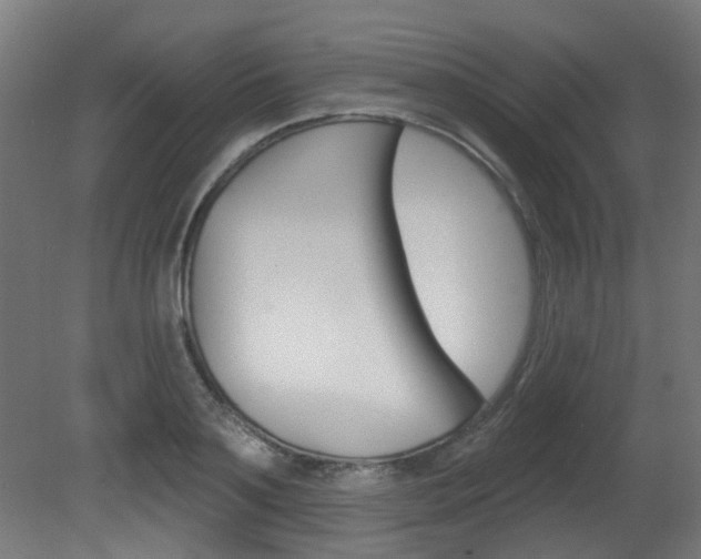 X0000081420891200701120941