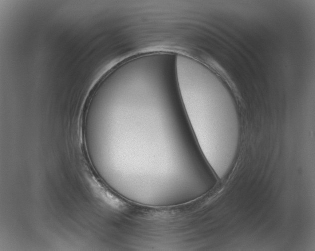 X0000081420892200701120941