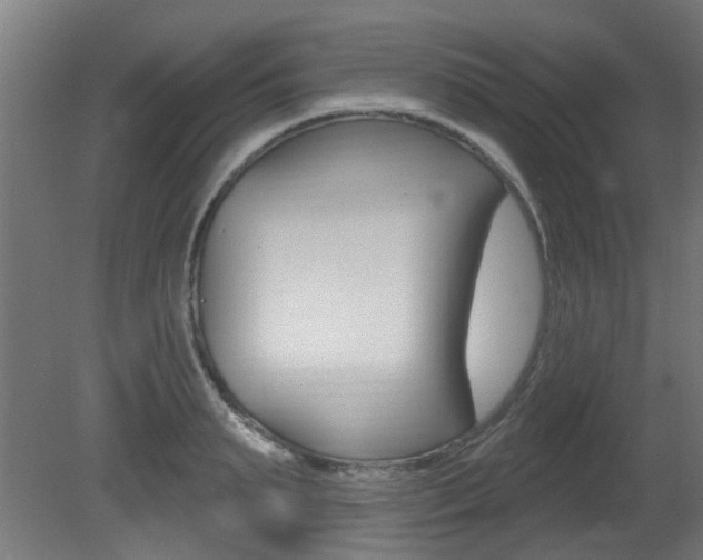 X0000081420895200701120941