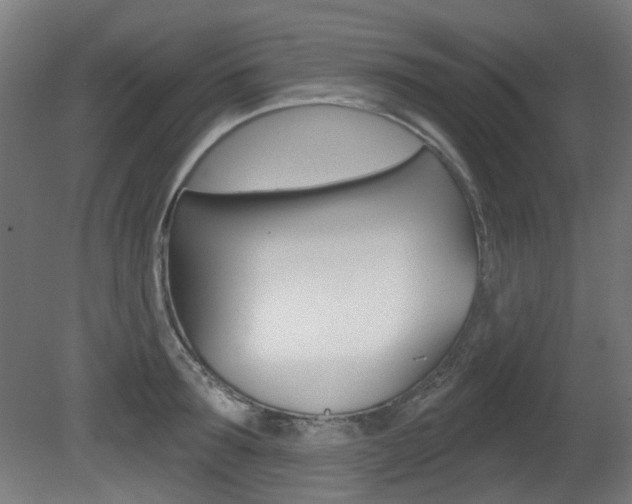 X0000081420899200701120941