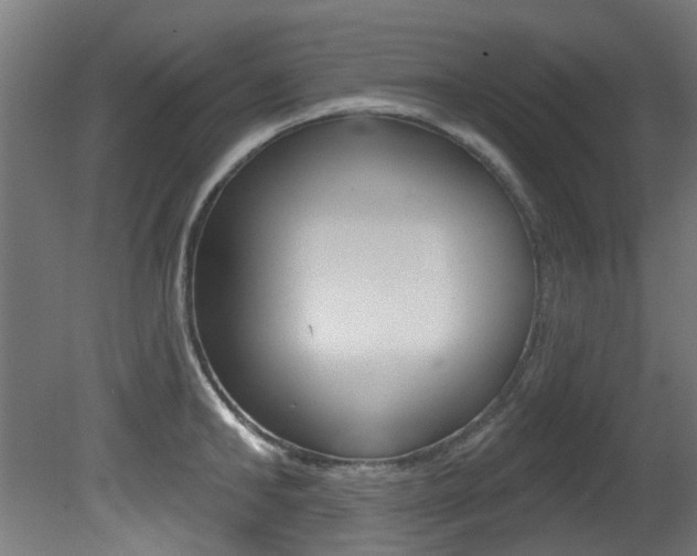 X0000081420902200701120941