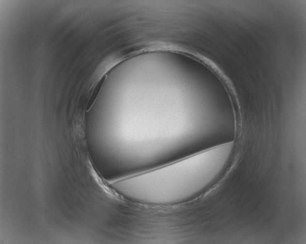 X0000081420905200701120941