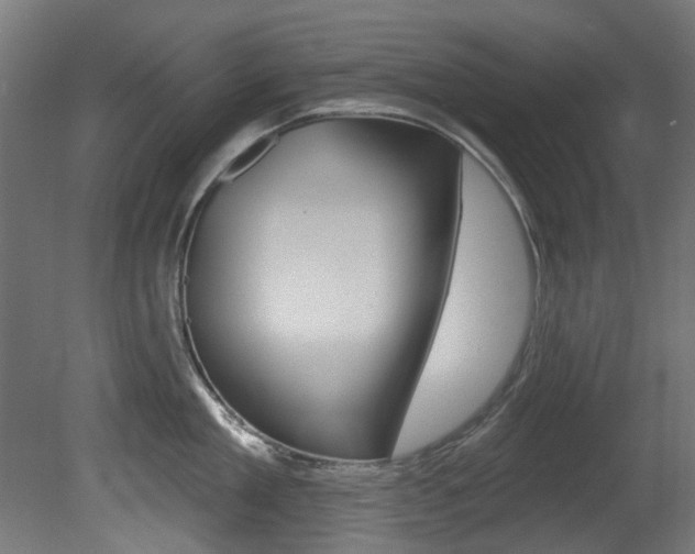 X0000081420909200701120941