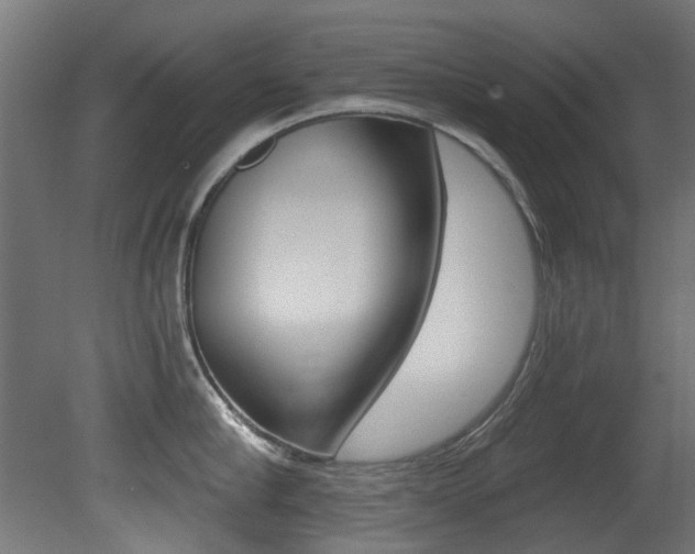 X0000081420910200701120941