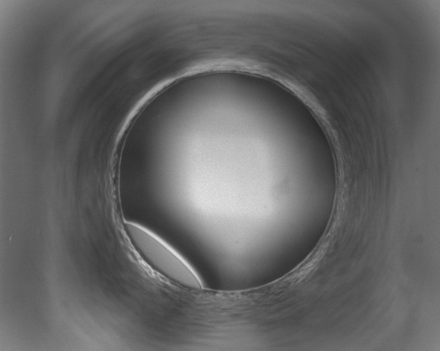 X0000081420912200701120941