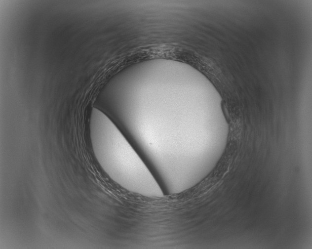 X0000081420913200701120940