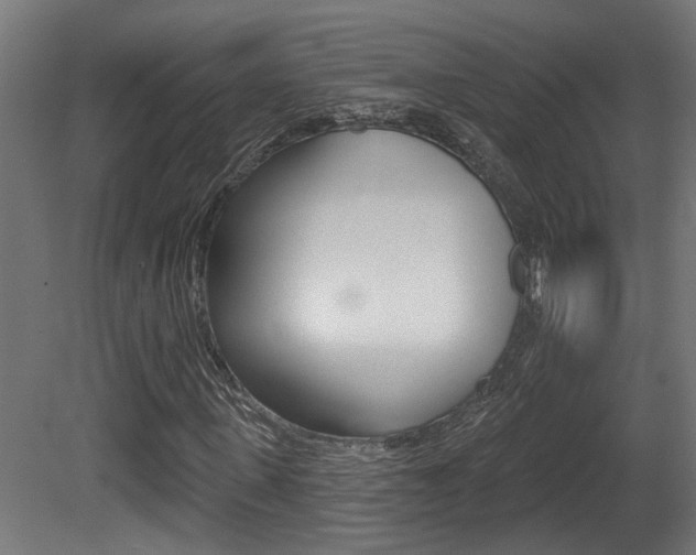 X0000081420915200701120940