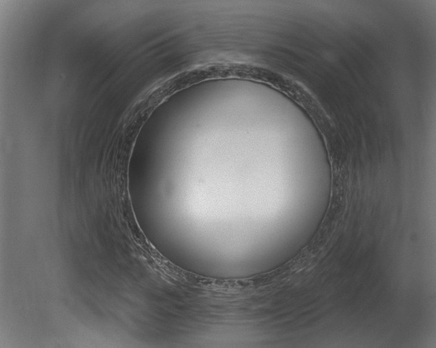 X0000081420919200701120940