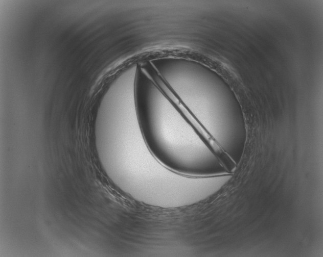 X0000081420920200701120940