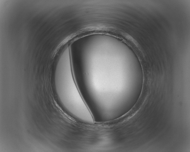 X0000081420922200701120940