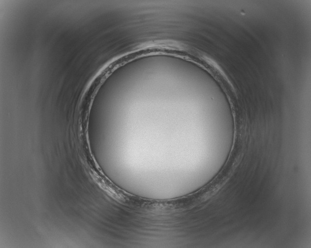 X0000081420923200701120940