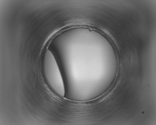 X0000081420925200701120940