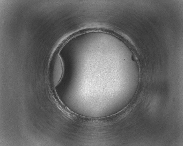 X0000081420927200701120940