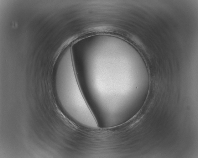 X0000081420930200701120940