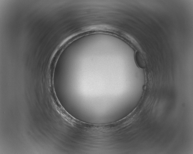X0000081420931200701120940