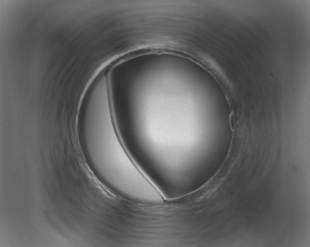 X0000081420932200701120940