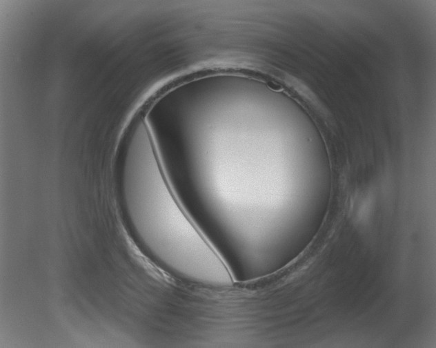 X0000081420934200701120940