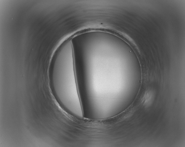 X0000081420935200701120941