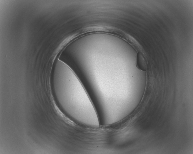 X0000081420938200701120941