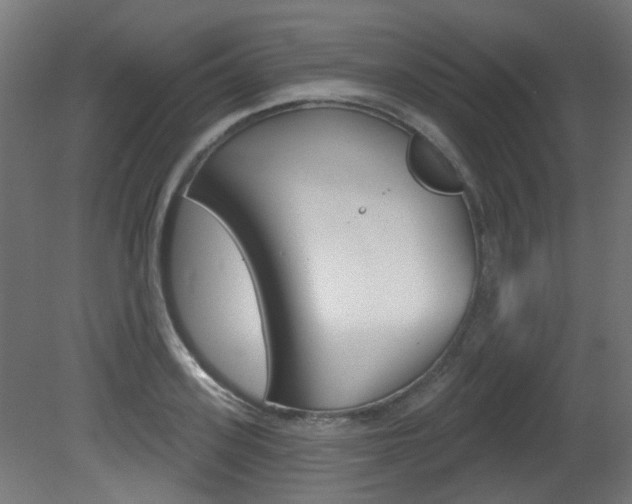 X0000081420939200701120941