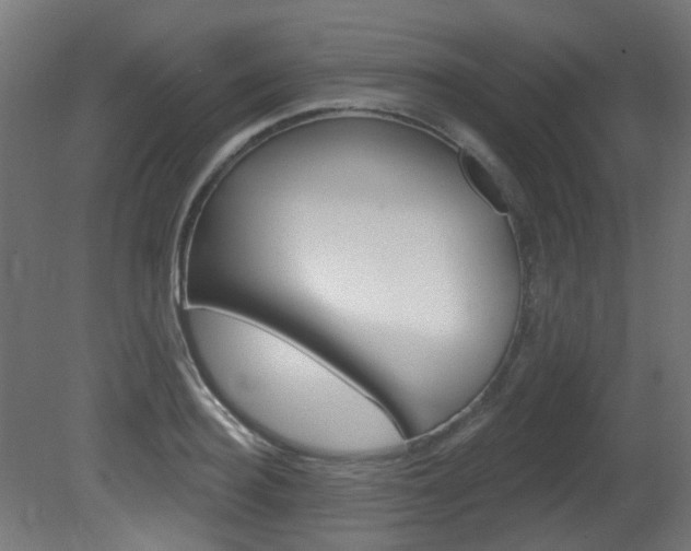 X0000081420940200701120941