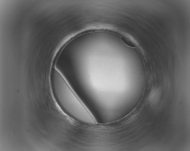 X0000081420943200701120941