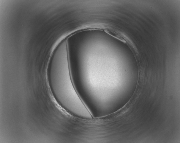 X0000081420944200701120941
