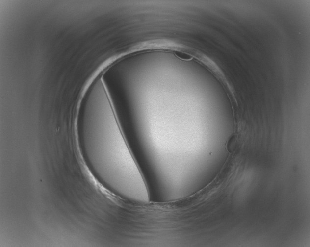 X0000081420947200701120941