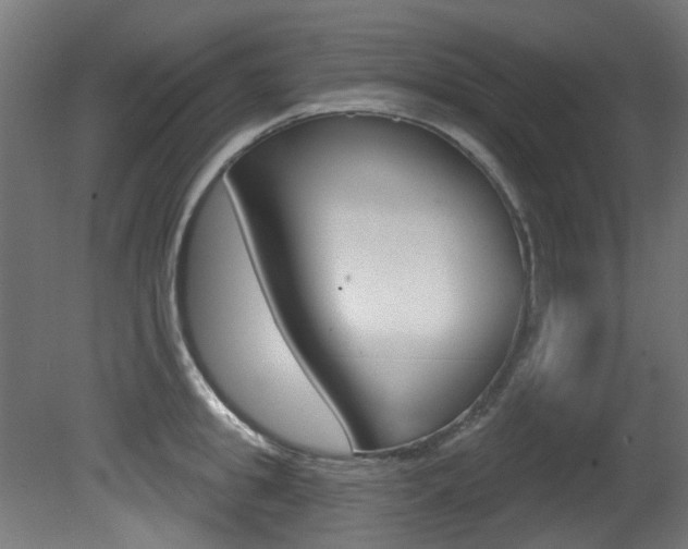 X0000081420949200701120941
