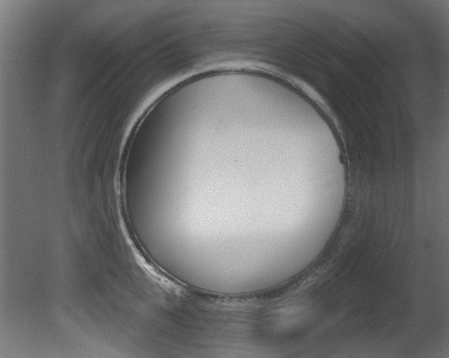 X0000081420951200701120941