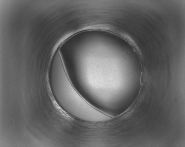 X0000081420952200701120941