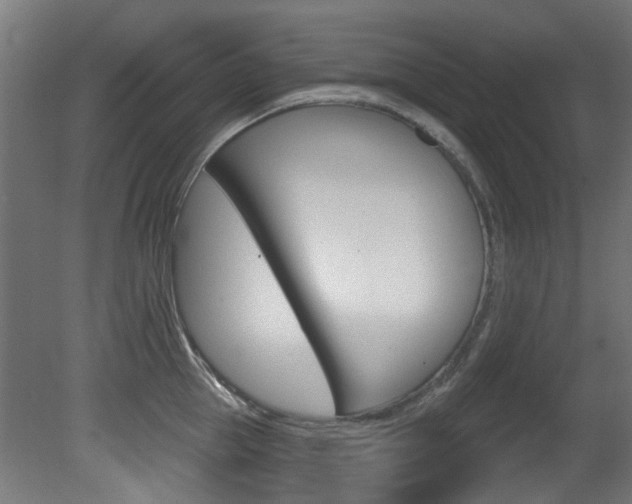 X0000081420953200701120941