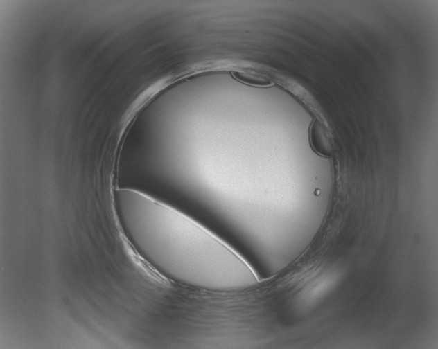 X0000081420954200701120941