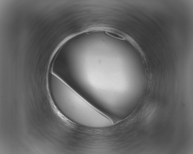 X0000081420955200701120941