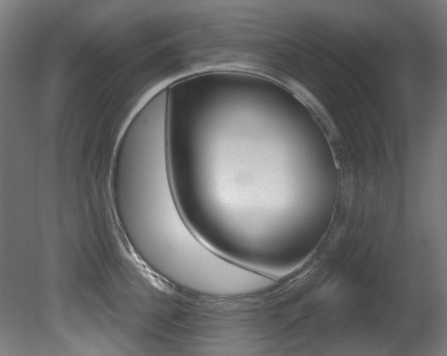 X0000081420956200701120941