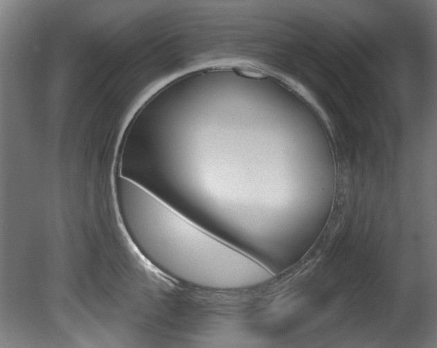 X0000081420959200701120941