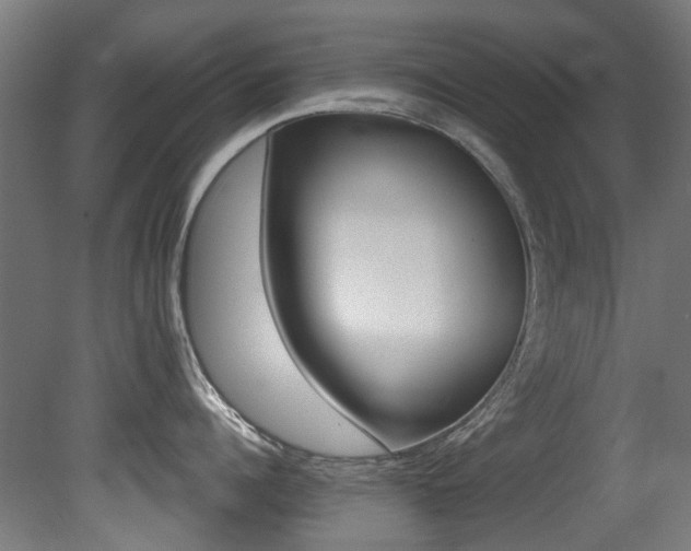 X0000081420960200701120941