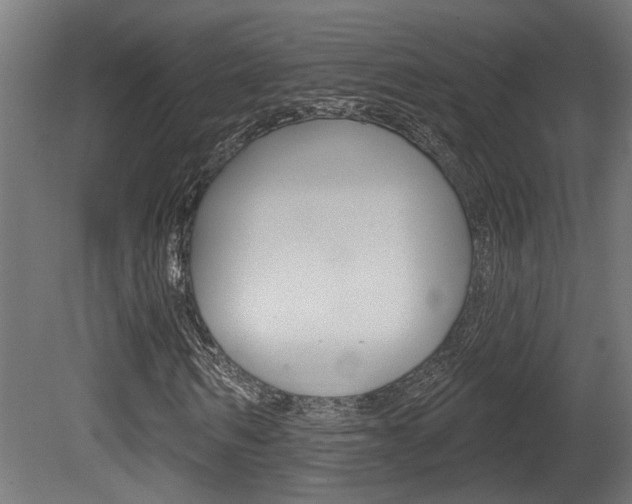X0000081420962200701120940