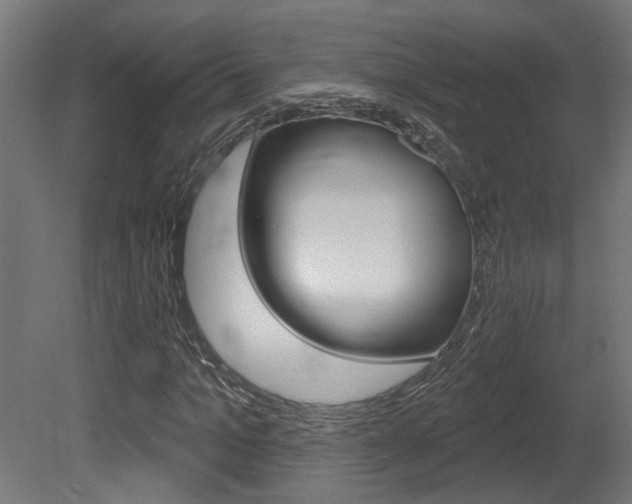 X0000081420965200701120940