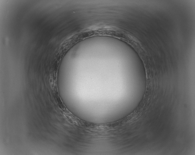 X0000081420966200701120940
