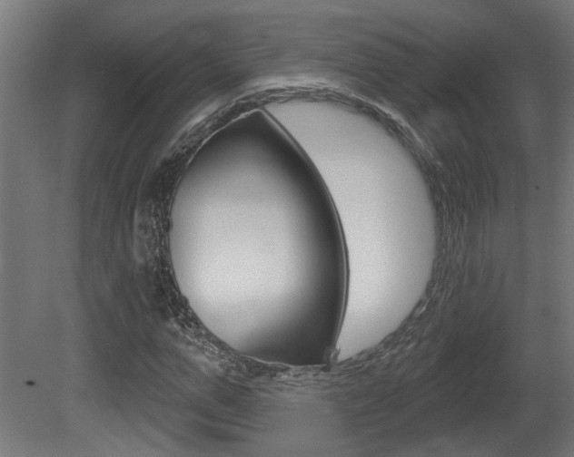 X0000081420967200701120940