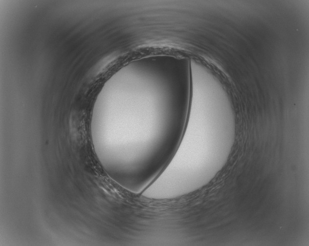 X0000081420968200701120940