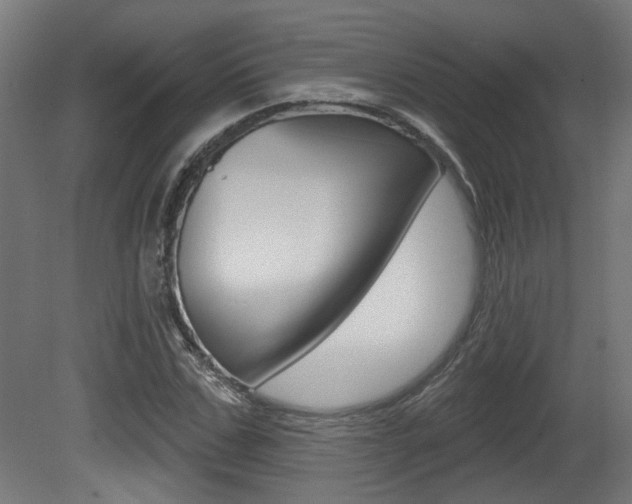 X0000081420971200701120940