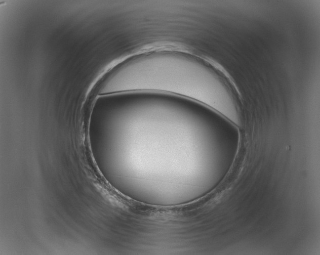 X0000081420973200701120940