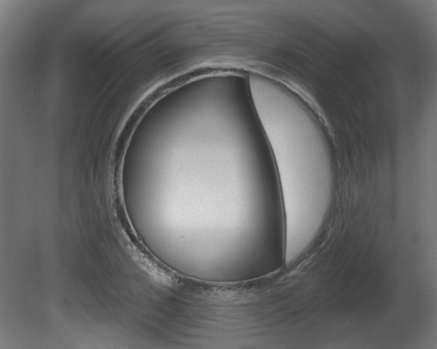 X0000081420976200701120940